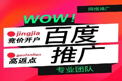 竞价排名优化策略案例分析